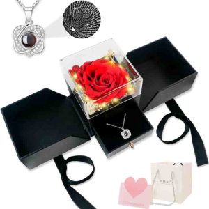 Best Preserved Rose & I Love You Necklace Gift Set