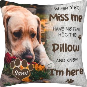 Best Personalized Pet Memorial Pillow With Photo For Dogs & Cats