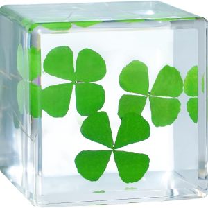 Best 3d Clover Acrylic Paperweight - Good Luck Desk Decor