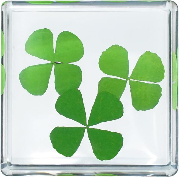 Best 3d Clover Acrylic Paperweight - Good Luck Desk Decor - Image 4
