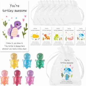 Top 60 Turtle Appreciation Gifts For Employees & Teams
