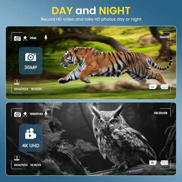 4k Night Vision Goggles With 10x Zoom & Infrared - Best For Wildlife - Image 5