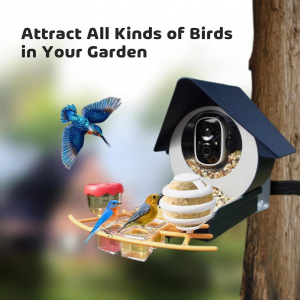 Solar Smart Bird Feeder With Hd Camera – Perfect Gift For Bird Lovers - Image 2