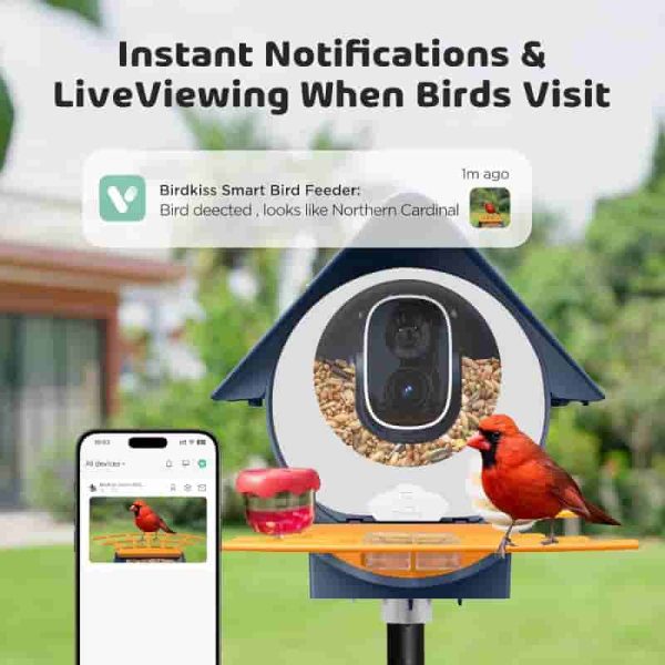 Solar Smart Bird Feeder With Hd Camera – Perfect Gift For Bird Lovers - Image 3