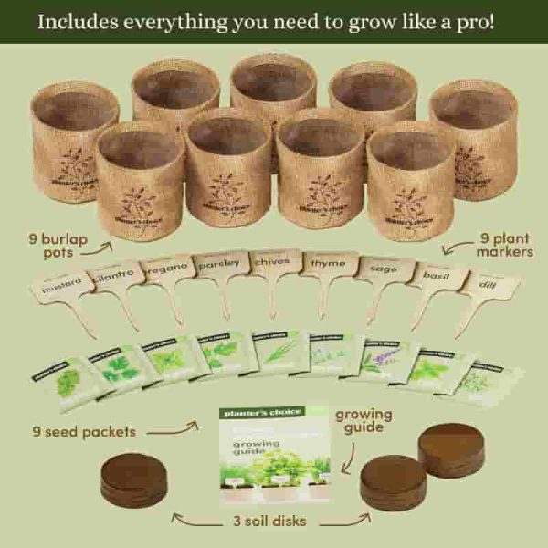 9 Herb Window Garden Kit - Best Indoor Plants Gift For Women & Mom - Image 4