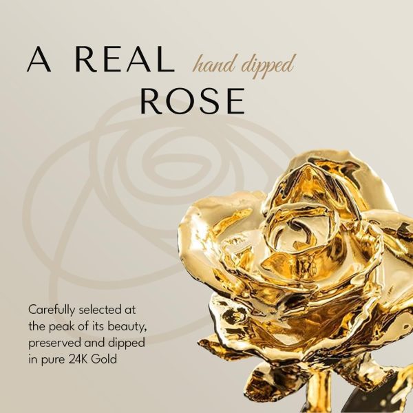 Forever Rose - 24k Gold Dipped Romantic Gift For Women & Men - Image 2
