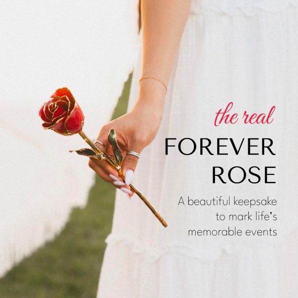 Forever Rose - 24k Gold Dipped Romantic Gift For Women & Men - Image 6
