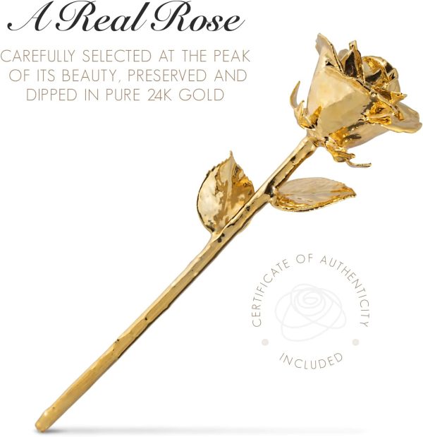 Forever Rose Gold Bundle – Unique Romantic Gift For Women - Image 2