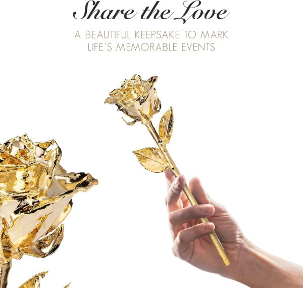 Forever Rose Gold Bundle – Unique Romantic Gift For Women - Image 5