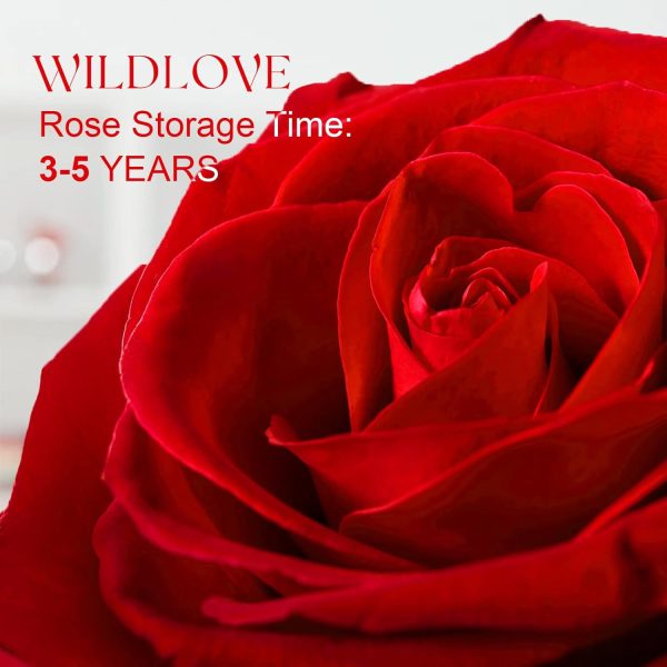 Best Real Rose & Heart Necklace Gift For Women - Forever Love - Image 4