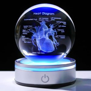Best 3d Heart Crystal Gift For Doctors With Led Base