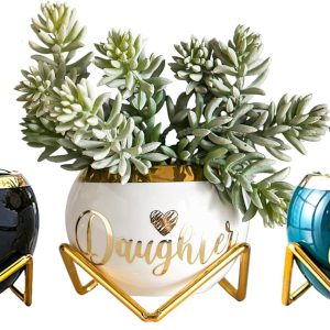 Best Succulent Planter Gifts For Adult Daughters