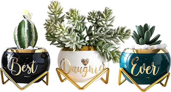Best Succulent Planter Gifts For Adult Daughters