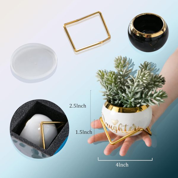 Best Succulent Planter Gifts For Adult Daughters - Image 2