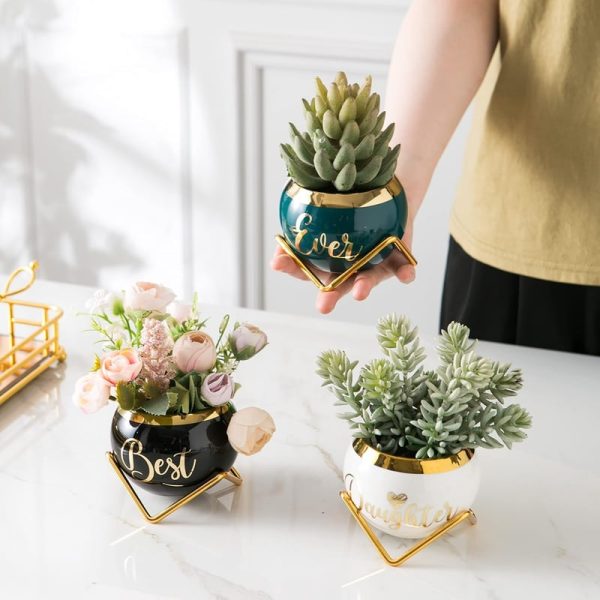 Best Succulent Planter Gifts For Adult Daughters - Image 3