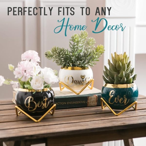 Best Succulent Planter Gifts For Adult Daughters - Image 6
