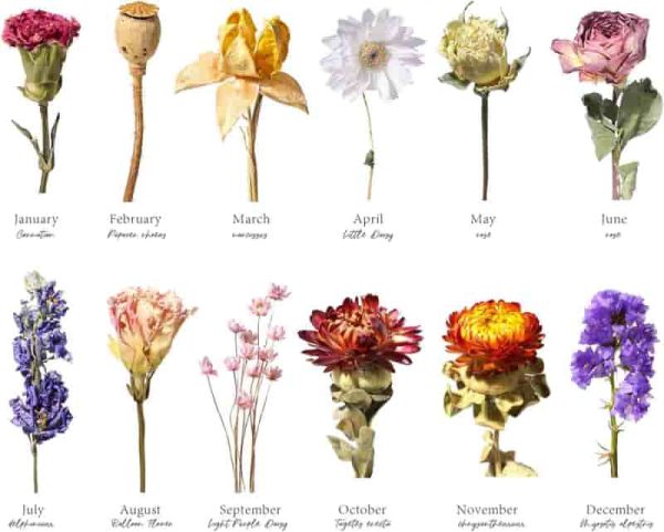 Best Personalized 3d Resin Flower Night Light For Mom - Image 5