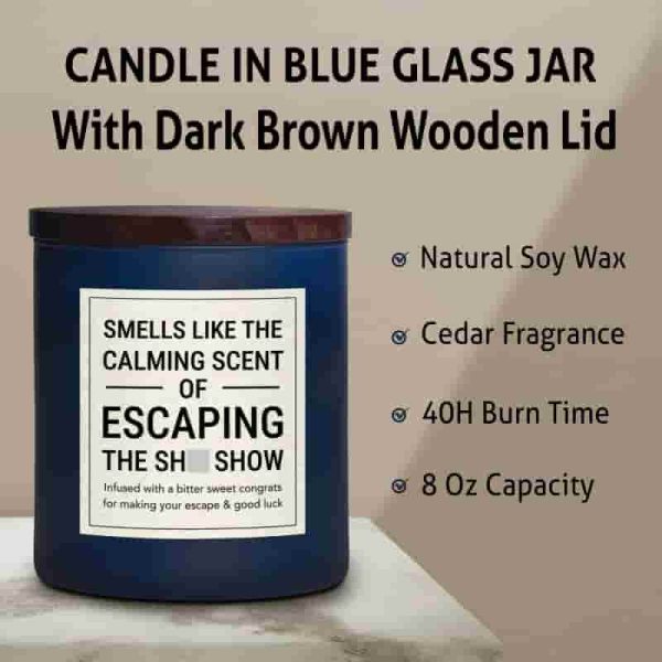 Best Retirement Farewell Gift - Funny 8 Oz Candle For Coworkers - Image 3
