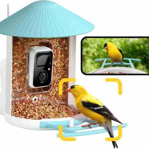 Birdfy Ai Smart Bird Feeder With Camera – Perfect Gift