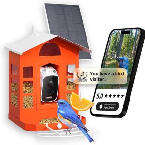 2k Hd Smart Bird Feeder Camera With Ai, Solar Power & Alerts