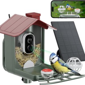 Best Solar Bird Feeder With Camera - 2k Hd For Bird Lovers