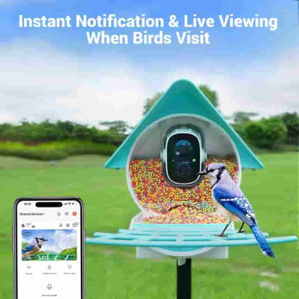 Smart Bird Feeder With 1080p Hd Camera & Solar Panel - Ideal Gift - Image 3
