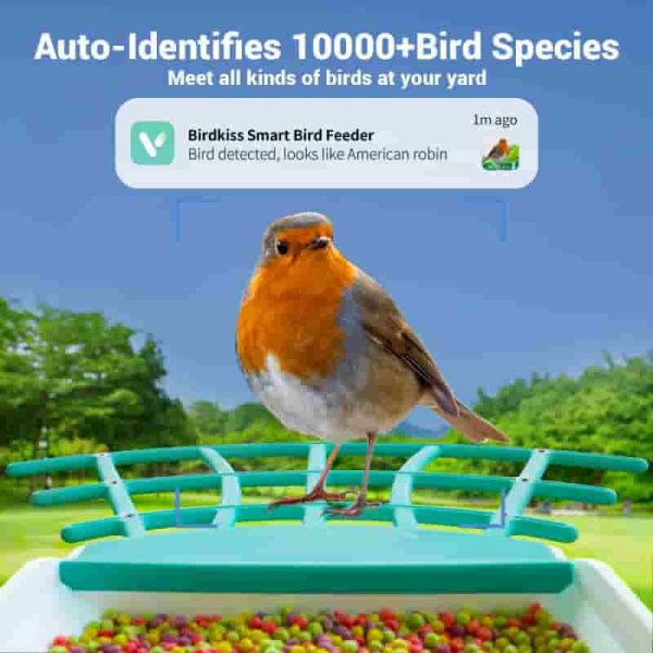 Smart Bird Feeder With 1080p Hd Camera & Solar Panel - Ideal Gift - Image 4