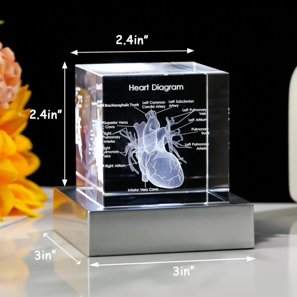 Best 3d Heart Model Crystal Surgeon Gifts - Image 2