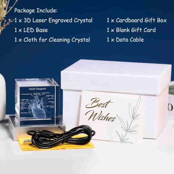 Best 3d Heart Model Crystal Surgeon Gifts - Image 6