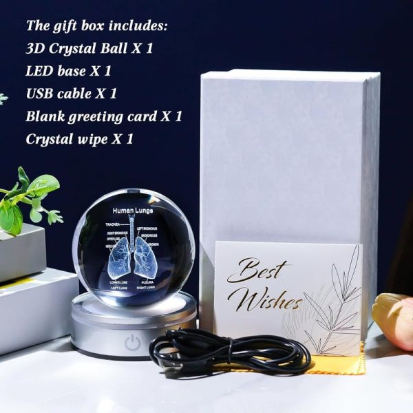 Best 3d Human Lung Model Crystal Ball - Perfect Doctor Gift - Image 6