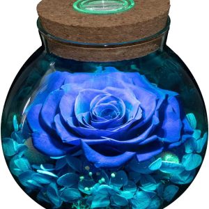 Eternal Blue Rose Mood Light - Perfect Gift For Anniversaries