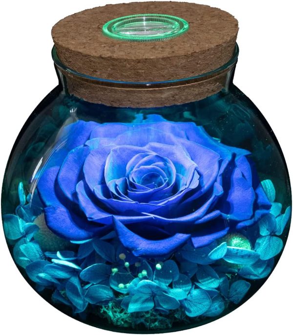 Eternal Blue Rose Mood Light - Perfect Gift For Anniversaries