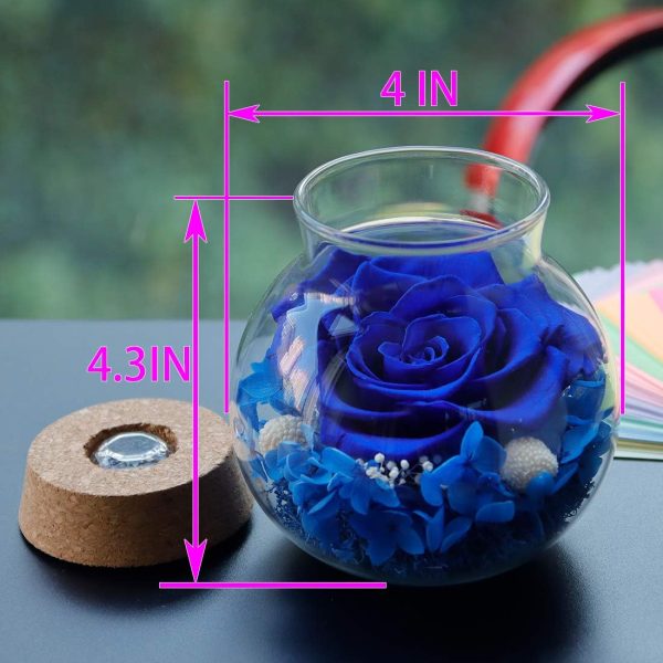 Eternal Blue Rose Mood Light - Perfect Gift For Anniversaries - Image 2