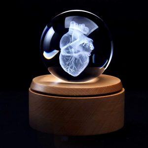 Best 3d Heart Anatomical Model Crystal Paperweight With Led
