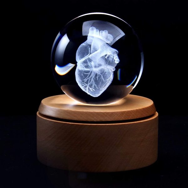Best 3d Heart Anatomical Model Crystal Paperweight With Led