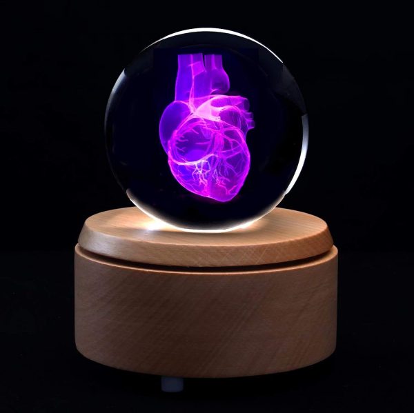 Best 3d Heart Anatomical Model Crystal Paperweight With Led - Image 2