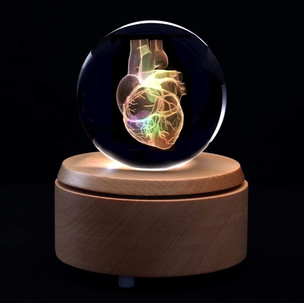 Best 3d Heart Anatomical Model Crystal Paperweight With Led - Image 3