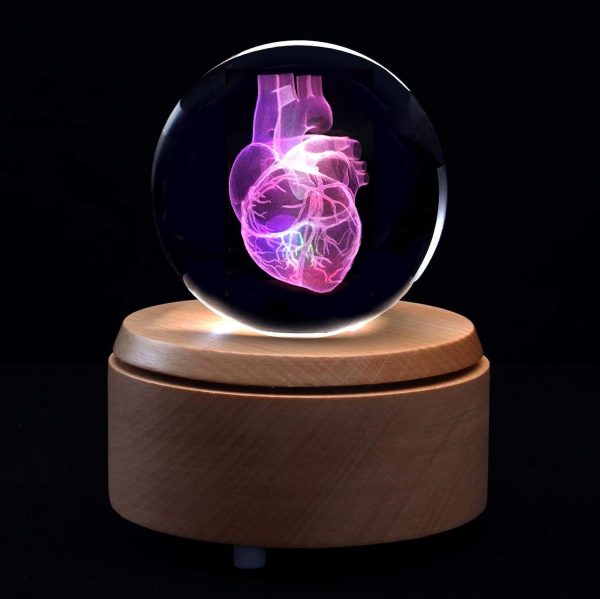 Best 3d Heart Anatomical Model Crystal Paperweight With Led - Image 4