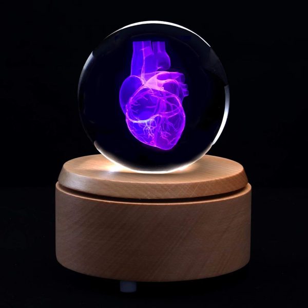 Best 3d Heart Anatomical Model Crystal Paperweight With Led - Image 5