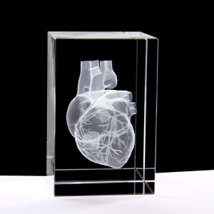 3d Laser Etched Human Heart Crystal Glass Paperweight – Unique Gift