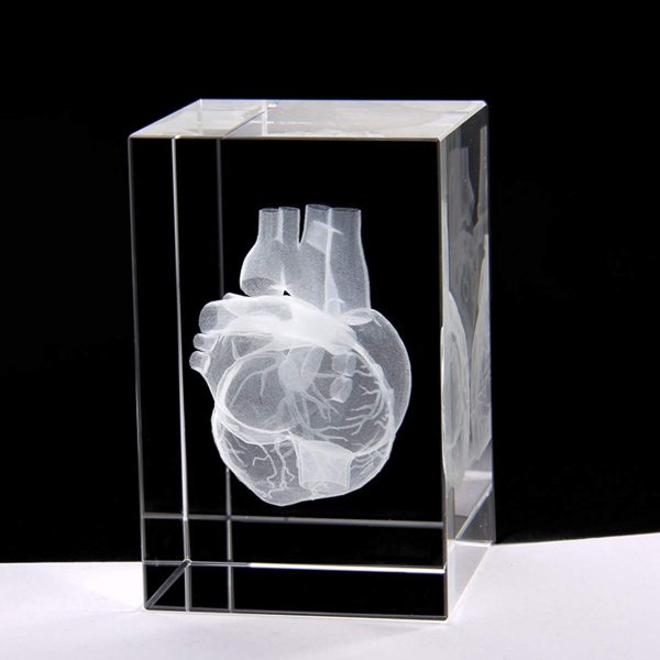 3d Laser Etched Human Heart Crystal Glass Paperweight – Unique Gift - Image 2