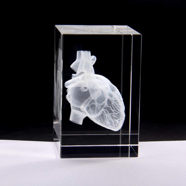 3d Laser Etched Human Heart Crystal Glass Paperweight – Unique Gift - Image 3