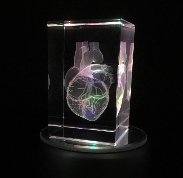 3d Laser Etched Human Heart Crystal Glass Paperweight – Unique Gift - Image 4