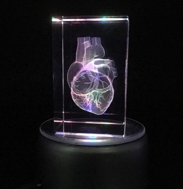 3d Laser Etched Human Heart Crystal Glass Paperweight – Unique Gift - Image 5