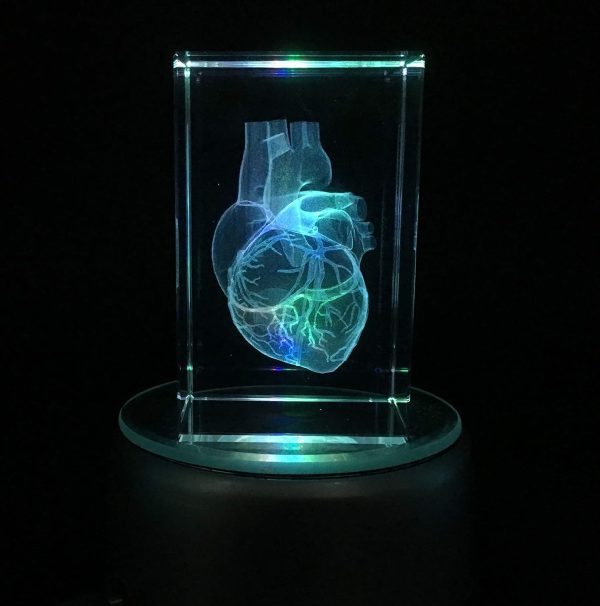 3d Laser Etched Human Heart Crystal Glass Paperweight – Unique Gift - Image 6