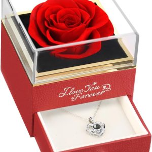 Best Preserved Real Red Rose Gift With Necklace For Her