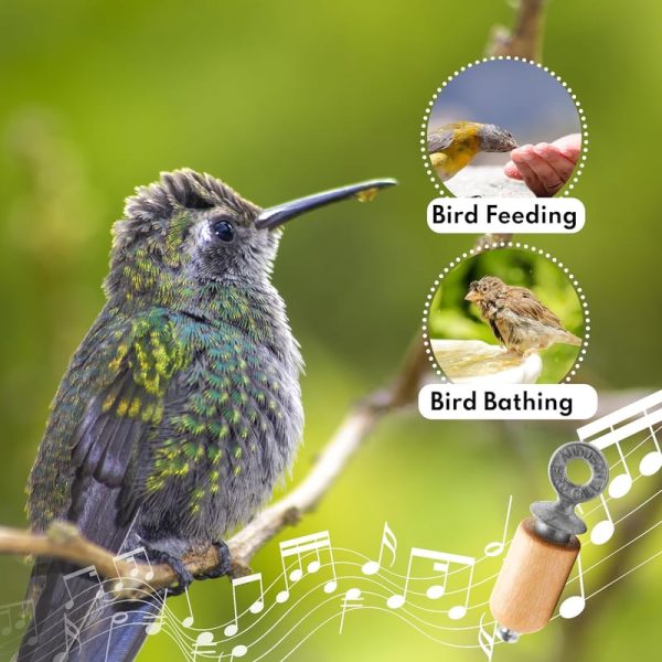 Best Natural Birch Bird Call Gift Pack - Image 3