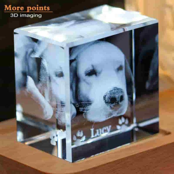 Best Personalized Pet Memorial 3d Crystal Photo Keepsake - Image 4