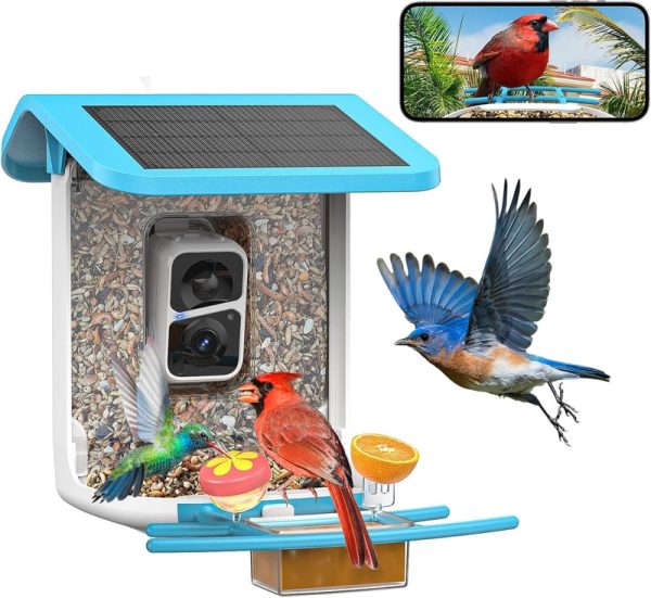 Smart Bird Feeder With Camera - Solar-powered Ai Recognition