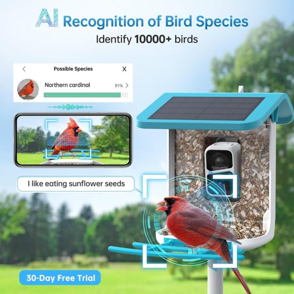 Smart Bird Feeder With Camera - Solar-powered Ai Recognition - Image 2